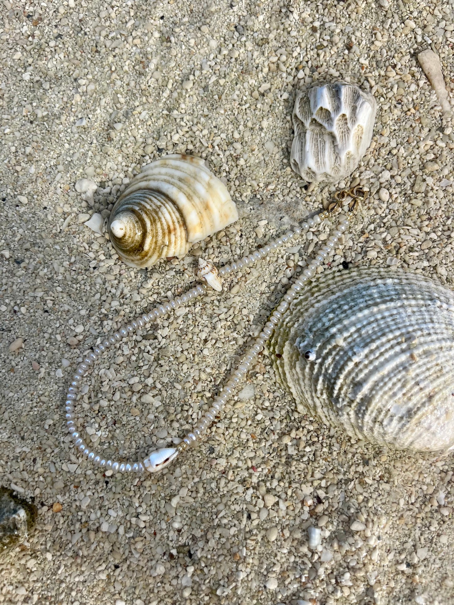 Conch Pearl Anklet