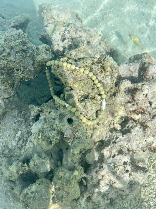Sea Bed 〰 Red Coral