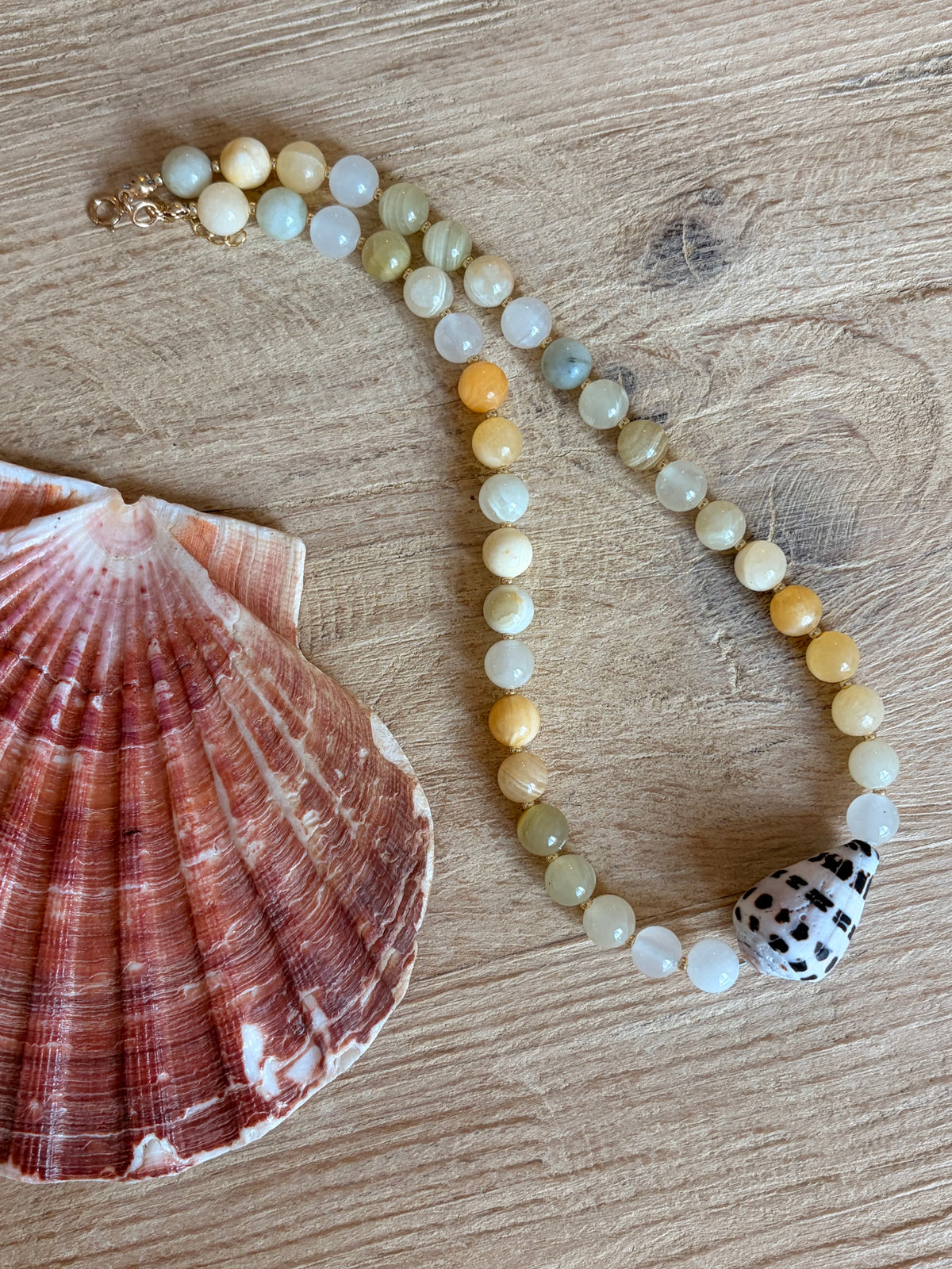 Hebrew Cone Shell Necklace