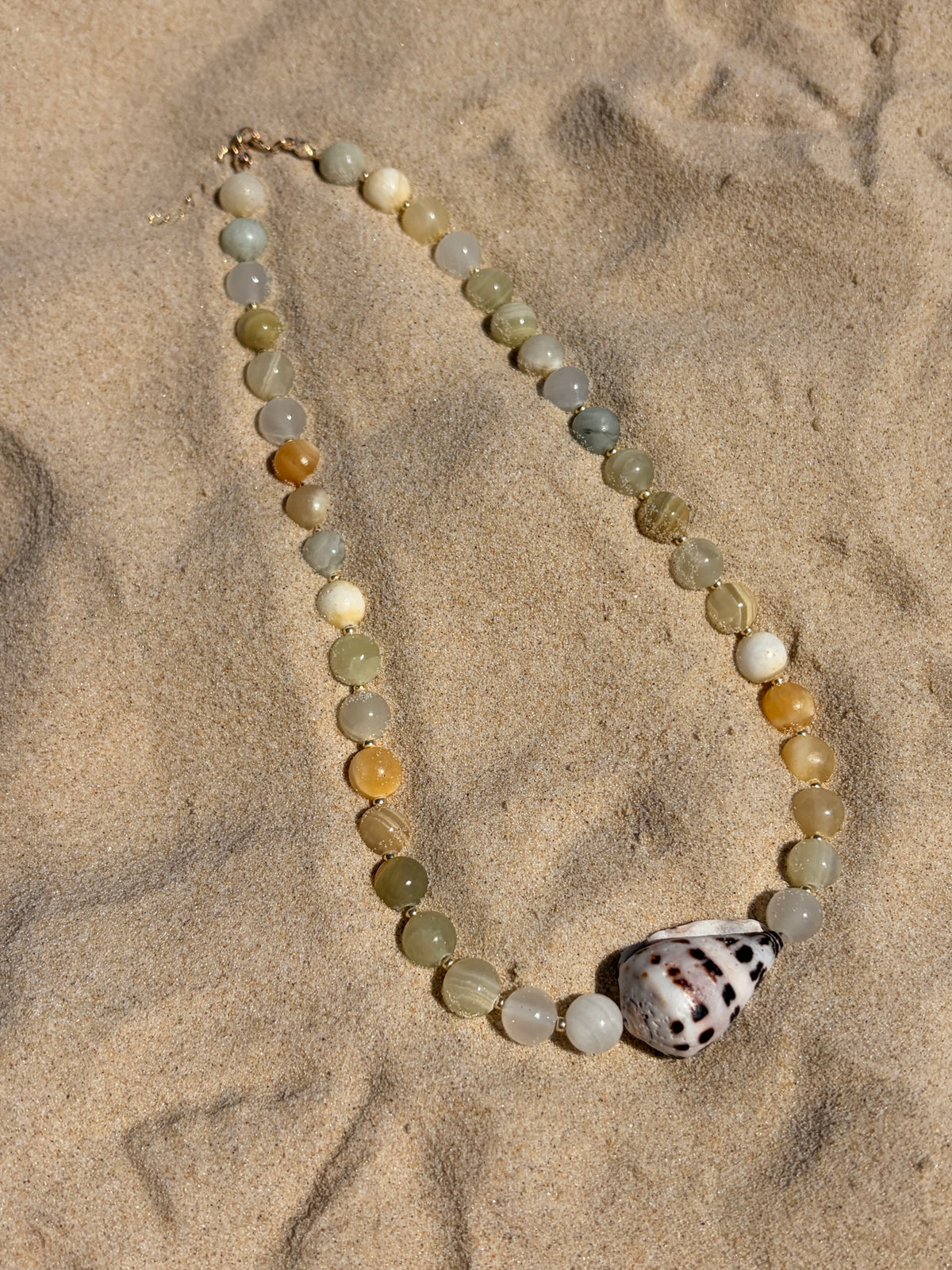 Hebrew Cone Shell Necklace