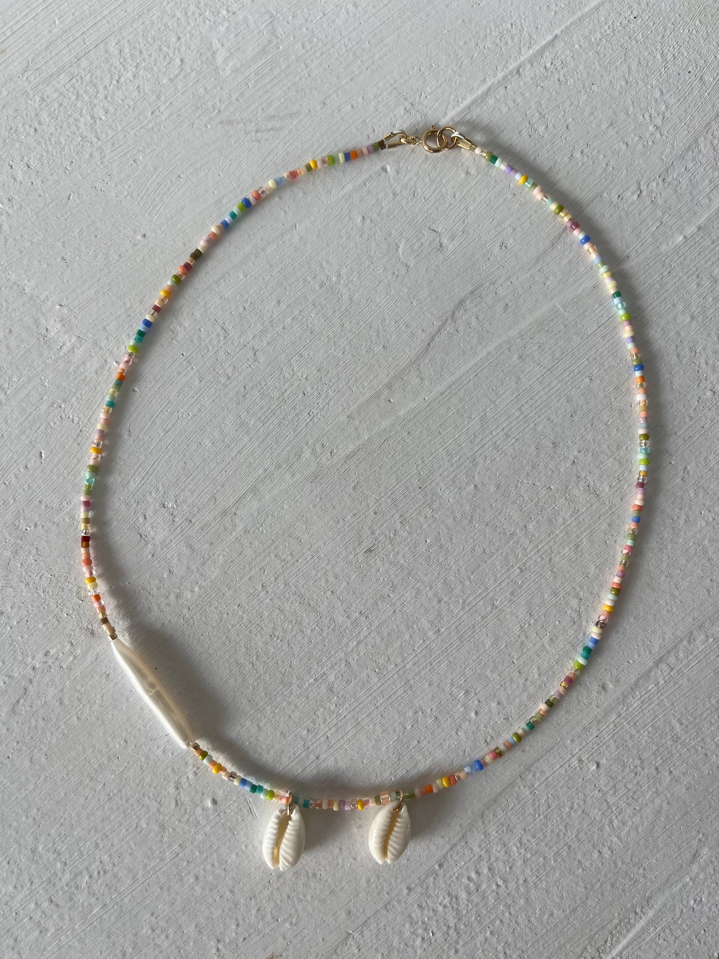 Little Rais 〰 Pacifique Shell